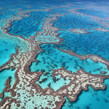 Action on the Great Barrier Reef